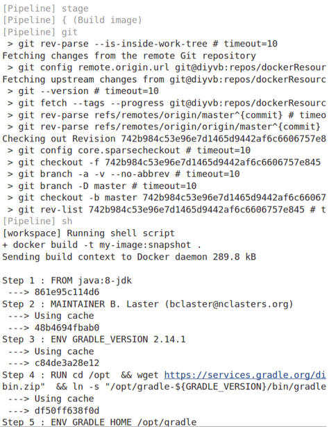 Actual Docker output from running the download and build